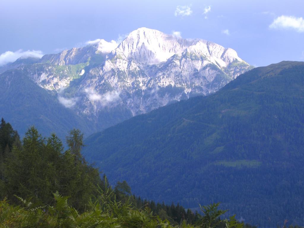 Gasthof Zum Loewen Sankt Jakob im Lesachtal 외부 사진