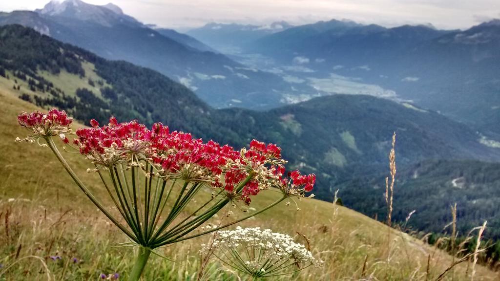 Gasthof Zum Loewen Sankt Jakob im Lesachtal 외부 사진