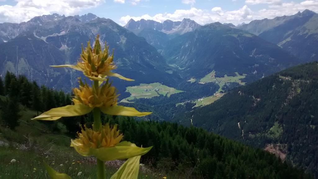 Gasthof Zum Loewen Sankt Jakob im Lesachtal 외부 사진