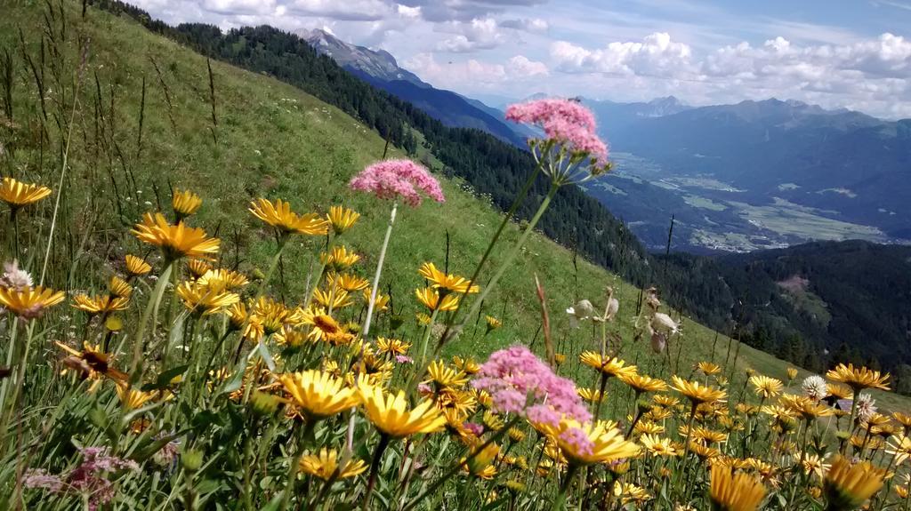Gasthof Zum Loewen Sankt Jakob im Lesachtal 외부 사진