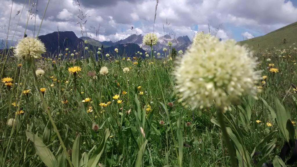 Gasthof Zum Loewen Sankt Jakob im Lesachtal 외부 사진