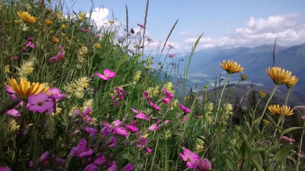 Gasthof Zum Loewen Sankt Jakob im Lesachtal 외부 사진